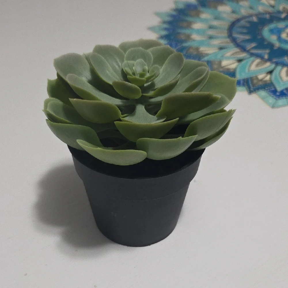 🔵3/$13 IKEA FEJKA Artificial Succulent